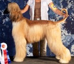 Thumbnail of Komar's Krims'n Skye