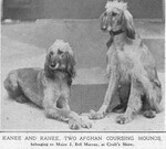 Thumbnail of Ranee (UK)