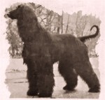 Thumbnail of Mecca's Midnight Special