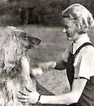 Thumbnail of Baber Of Baberbagh