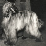 Thumbnail of Sherrendale Brandy