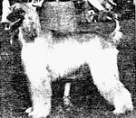 Thumbnail of Karli Ben Ghazi