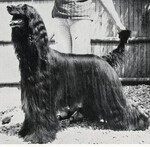 Thumbnail of Akaba's Brass Cinder-Fella