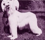 Thumbnail of Akaba's Gigi In White