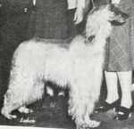 Thumbnail of Westmill Natanz