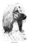 Thumbnail of Taejon of Crown Crest