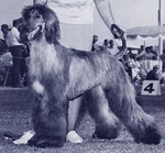 Thumbnail of Akaba's Royal Treasure