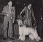 Thumbnail of Cadburyhill Infashia's Image