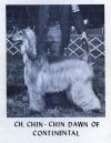 Thumbnail of Chin-Chin Dawn Of Continental