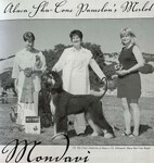 Thumbnail of Abaca Sha-Cone Pamelon's Merlot