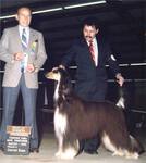 Thumbnail of Raffica's Thief Of Hearts