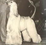 Thumbnail of Thaon's Voice Of Karzak