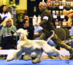 Thumbnail of Jovan Acceleration