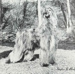 Thumbnail of Pagazan's Picasso Overtones