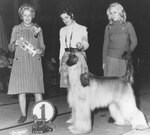 Thumbnail of Ammon Hall Ter-Caj Of Tajmir