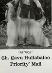 Thumbnail of Cavu Hullaballoo Priority Mail