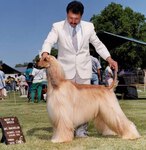 Thumbnail of Raffica's It Takes A Thief