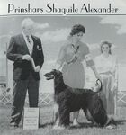 Thumbnail of Prinshar's Shaquile Alexander