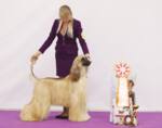 Thumbnail of Vivat Sanraiz La Vie Est Belle