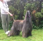 Thumbnail of Nightmare Before Christmas