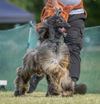 Thumbnail of Xzotika's Big Time Splendor